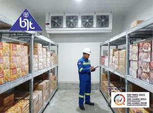 Cara Kerja Freezer dan Penjelasan Lengkapnya